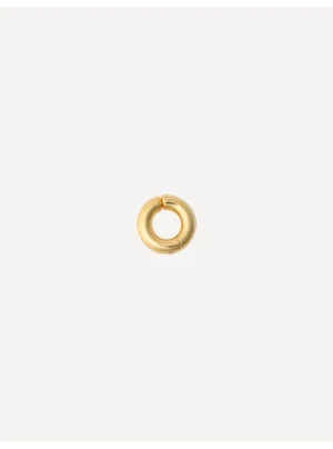 Gold Loop