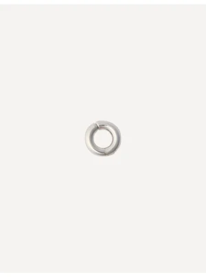 Silver Loop