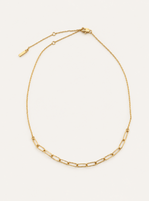 Charm necklace